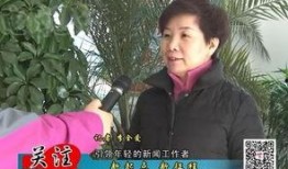 山西介休最新事件爆料新闻,揭秘背后真相与影响