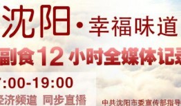 沈阳新闻今天爆料,重磅爆料，揭秘某事件背后真相